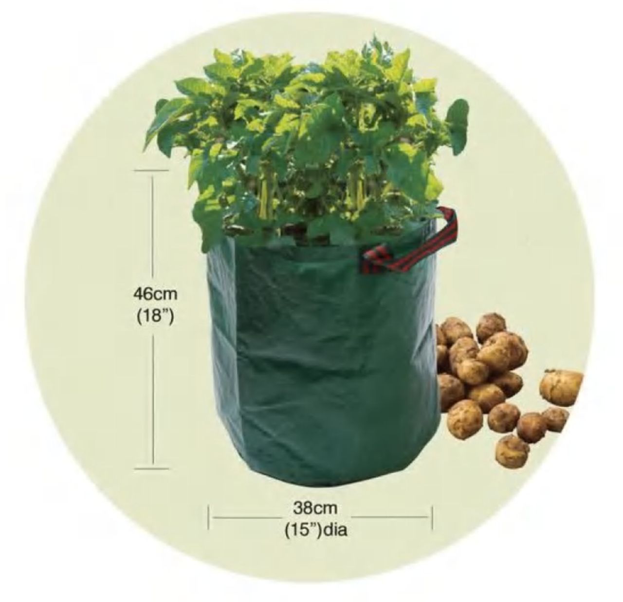 Potato Bag