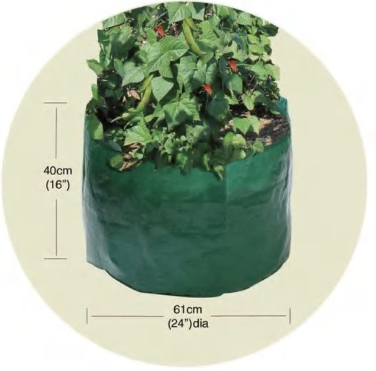 Bean & Pea Bag