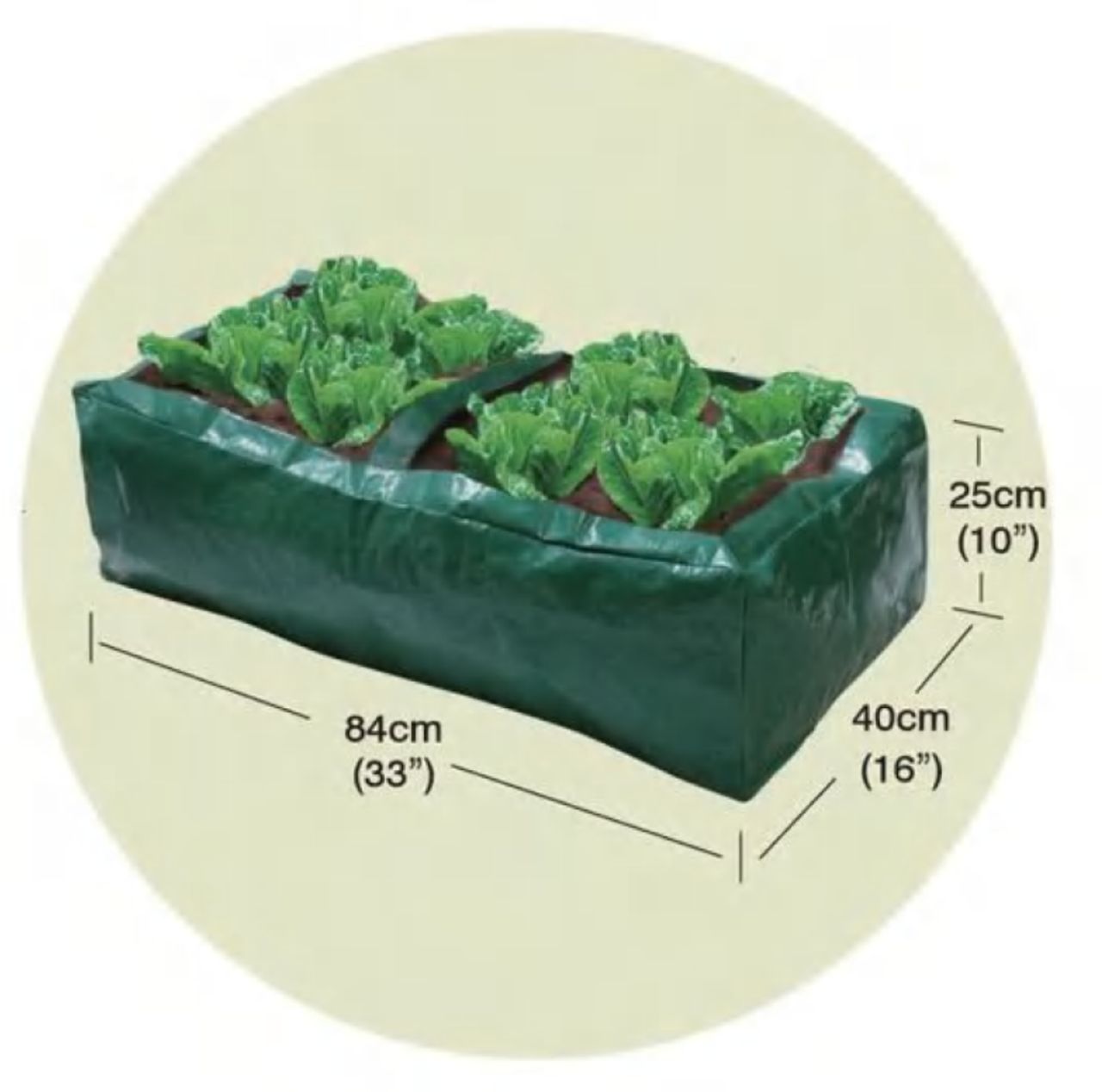 Salad Bag