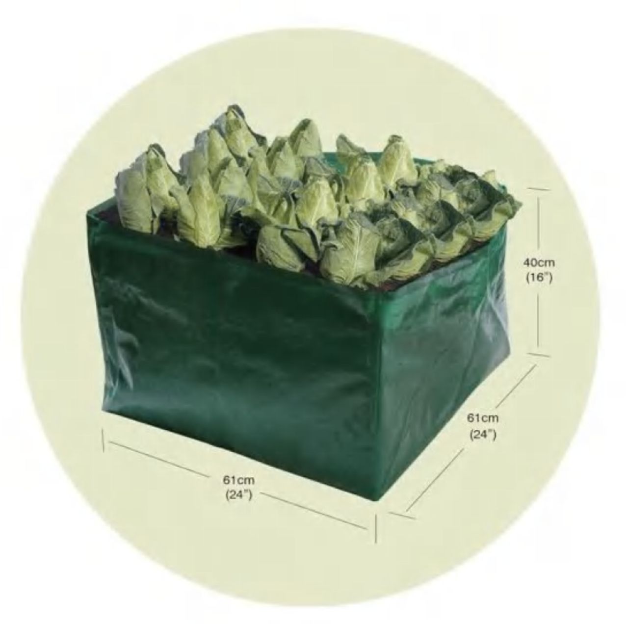 Vegetable Bag