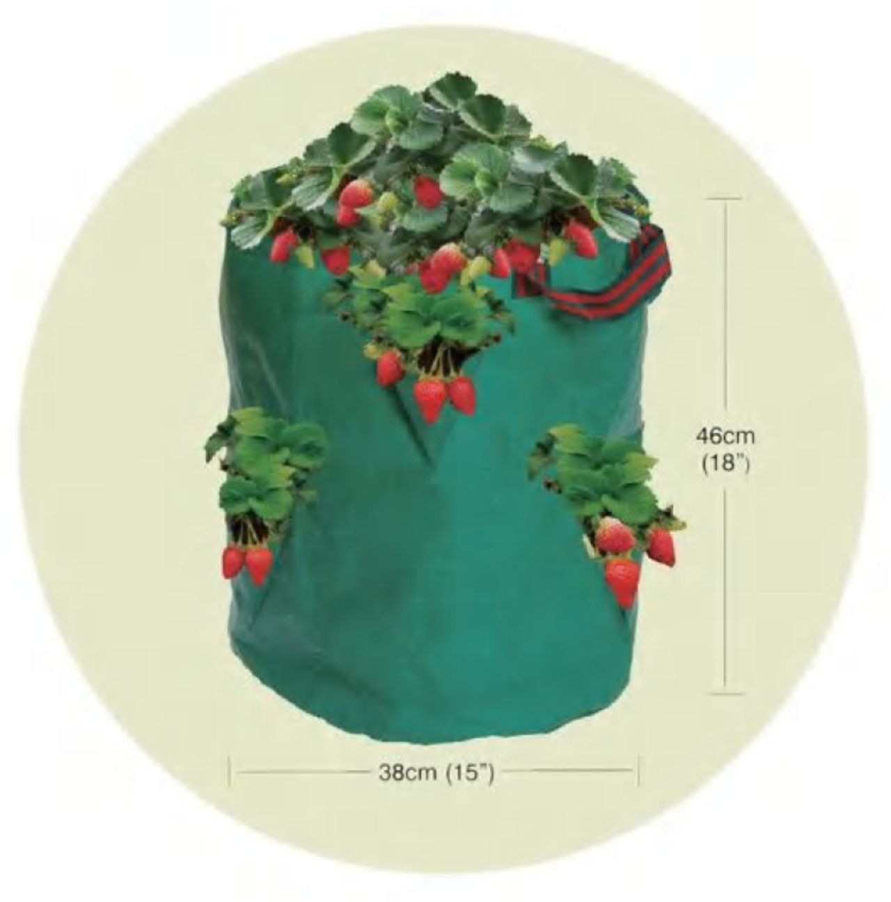 Strawberry Bag