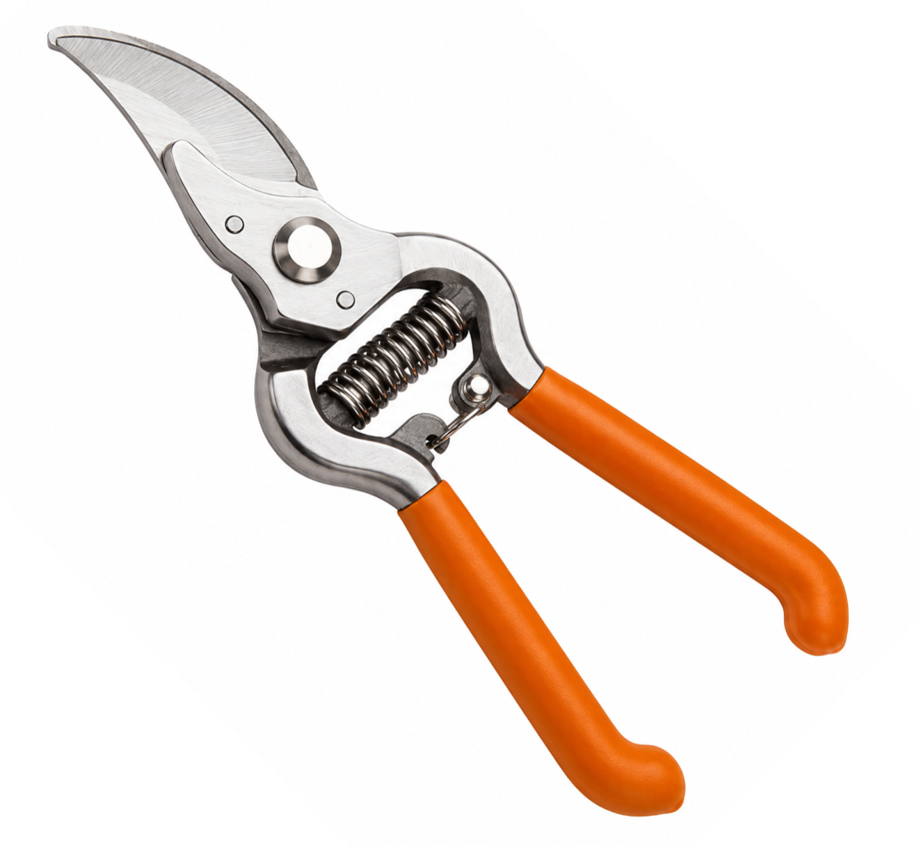 Pruning Shears