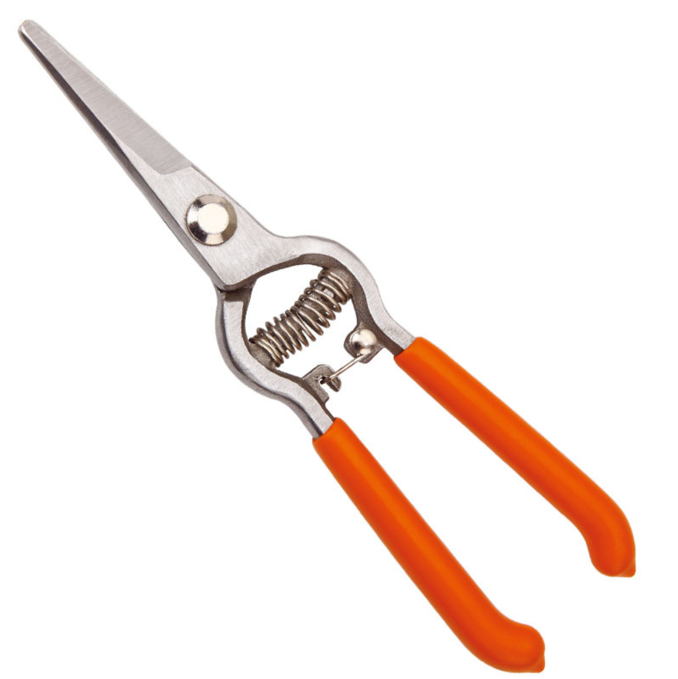 Harvest Shear