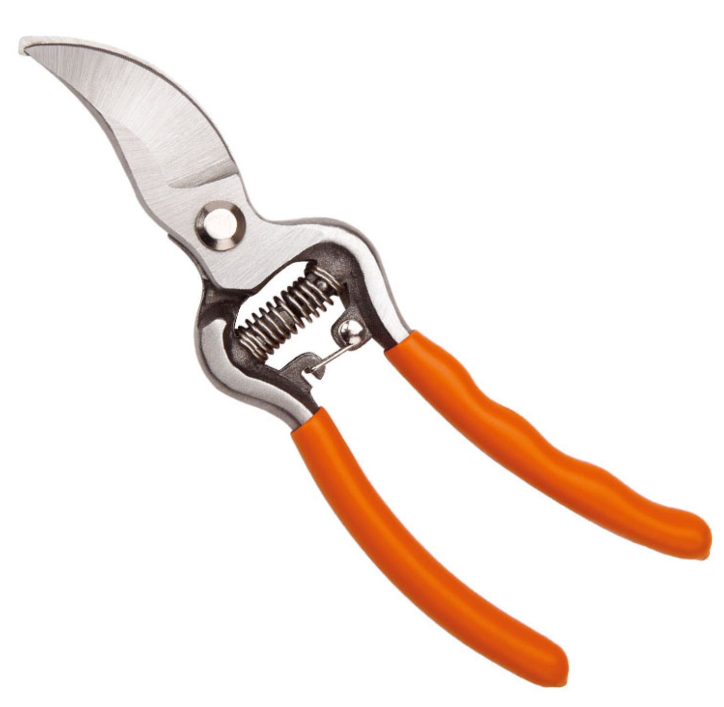 Pruning Shears