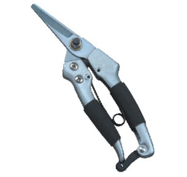 Shear