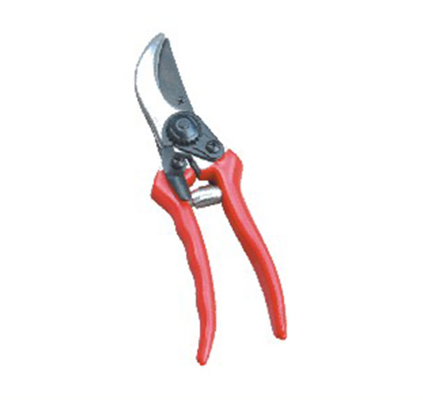 Shear