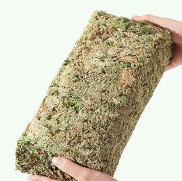 Sphagnum Moss Dried