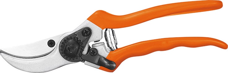 Strong Shear