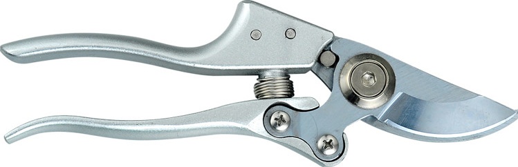 STRONG SHEAR