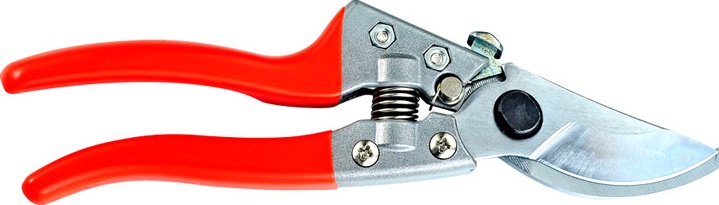STRONG SHEAR