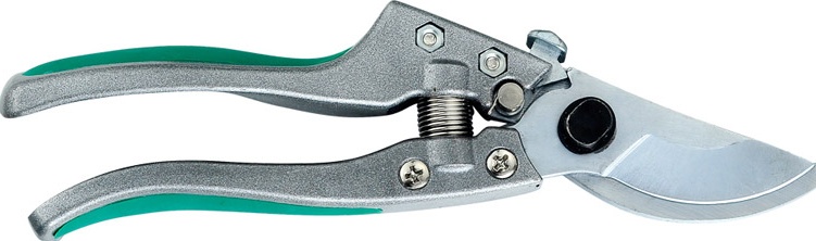 STRONG SHEAR