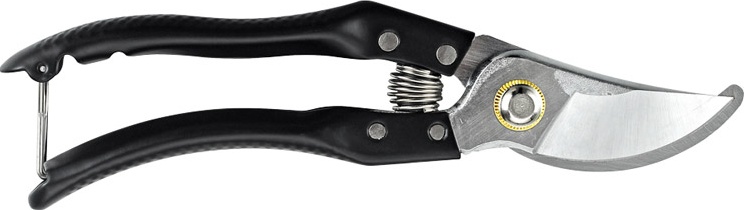 Strong Shear