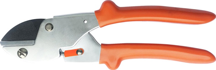 pruning scissors