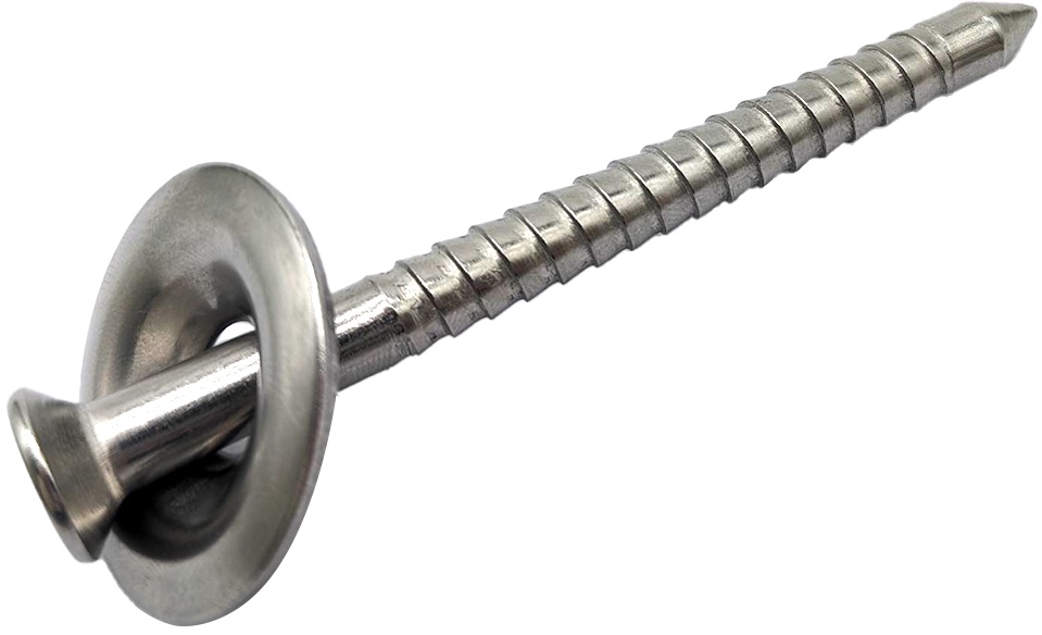 304 Ss Roof Nail Screw With A Cap