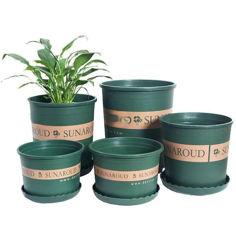 Flower Pot